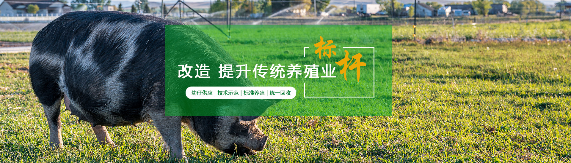 美狮贵宾会·(中国)官方网站