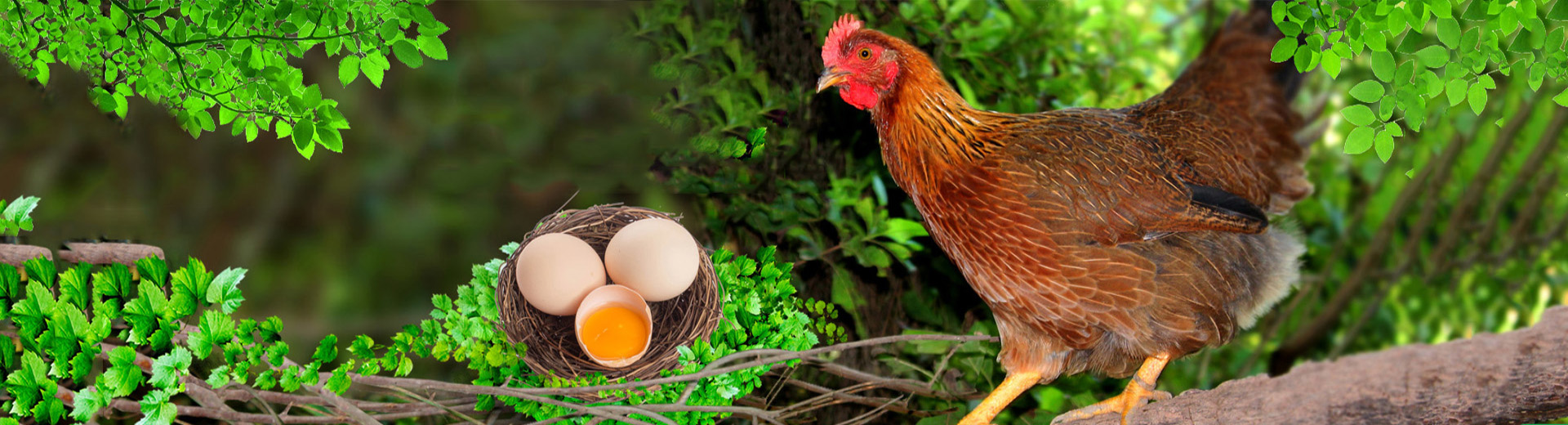 在线留言-美狮贵宾会