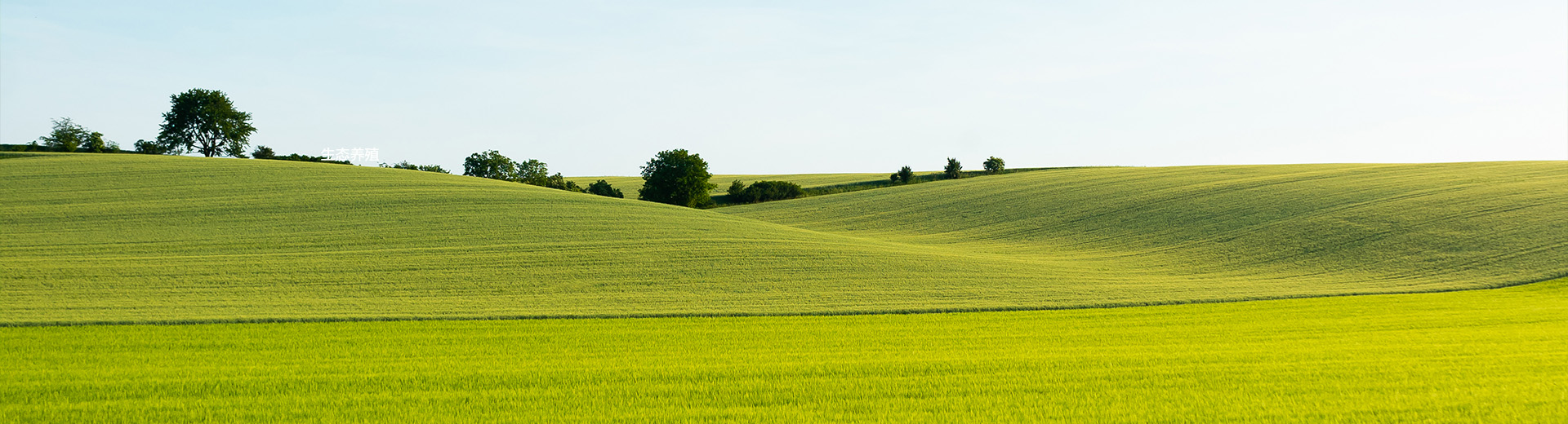 生态养殖猪栏基地-基地展示-美狮贵宾会