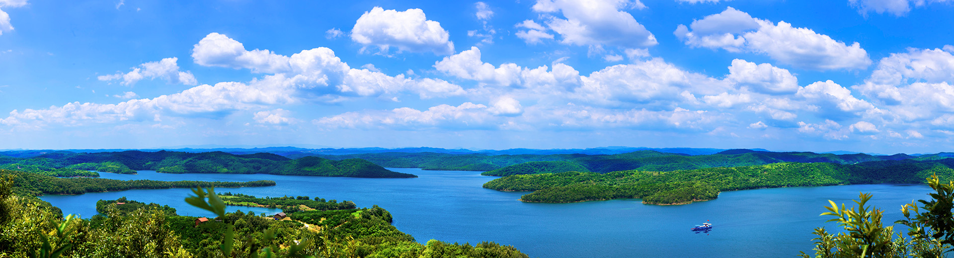 活动通告-美狮贵宾会