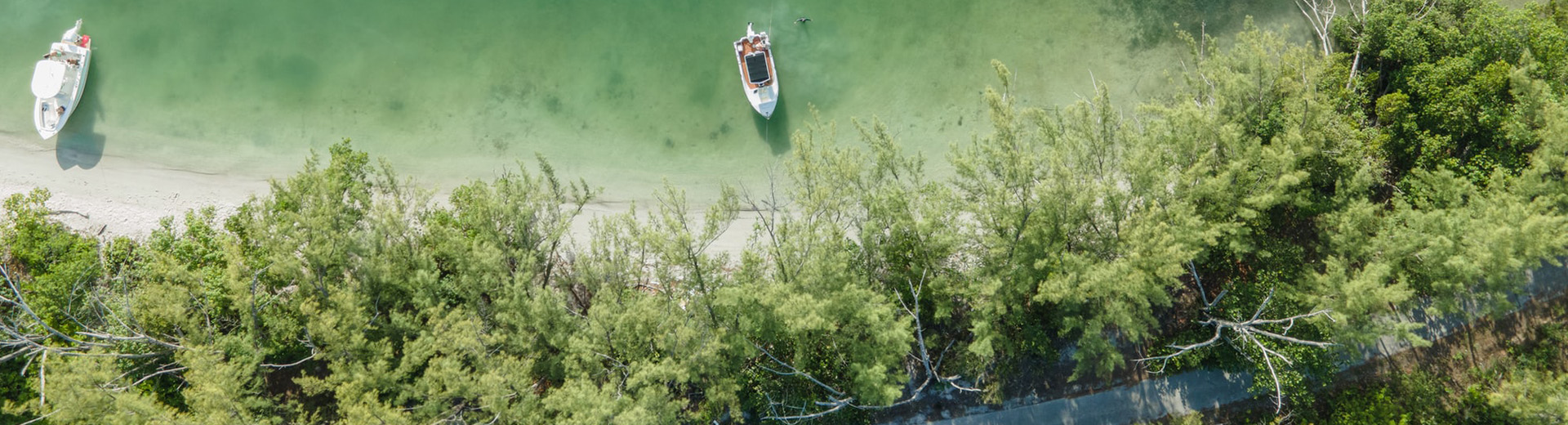 新年伊始，饲料质料价钱涨起来！-新闻中心-美狮贵宾会