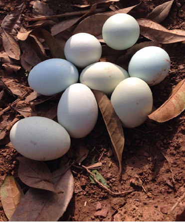 美狮贵宾会·(中国)官方网站