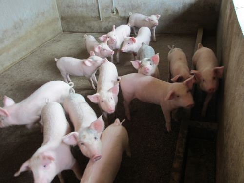 美狮贵宾会·(中国)官方网站