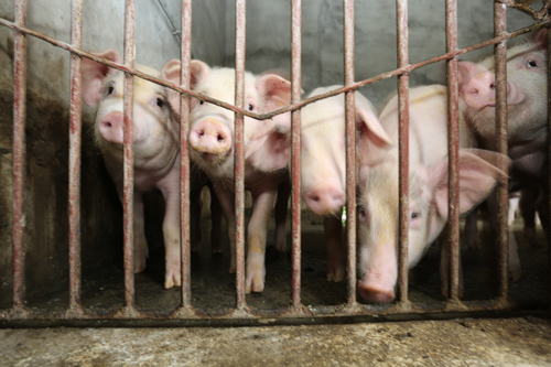 美狮贵宾会·(中国)官方网站