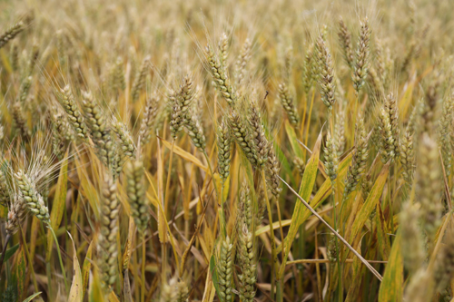 美狮贵宾会·(中国)官方网站