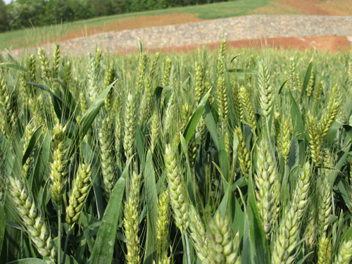 美狮贵宾会·(中国)官方网站