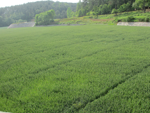 美狮贵宾会·(中国)官方网站