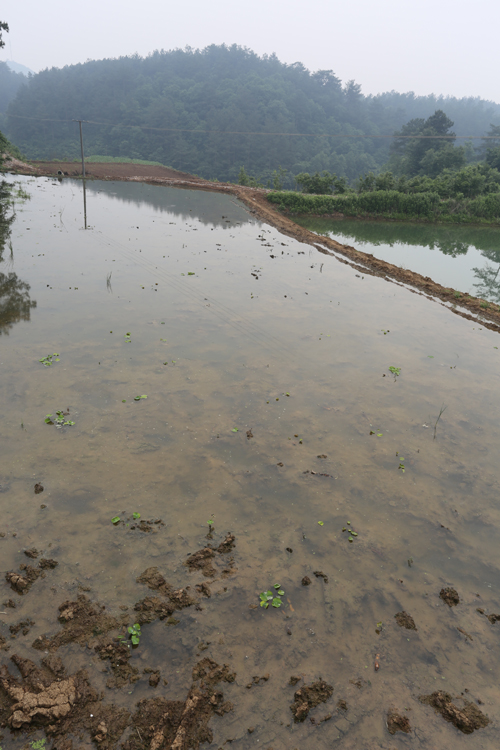 美狮贵宾会·(中国)官方网站