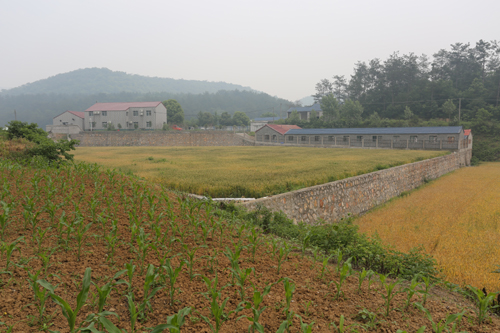 美狮贵宾会·(中国)官方网站