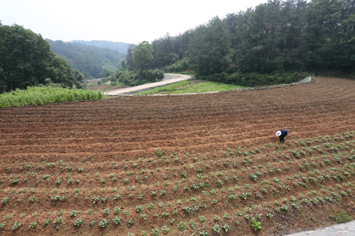 美狮贵宾会·(中国)官方网站
