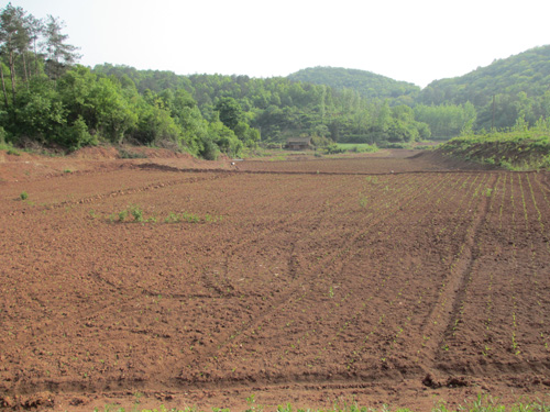 美狮贵宾会·(中国)官方网站
