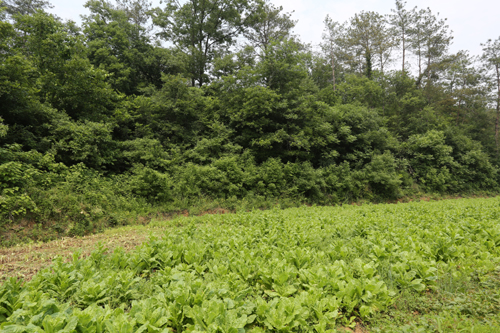 美狮贵宾会·(中国)官方网站