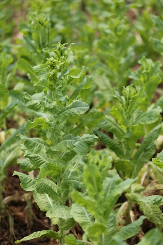 美狮贵宾会·(中国)官方网站