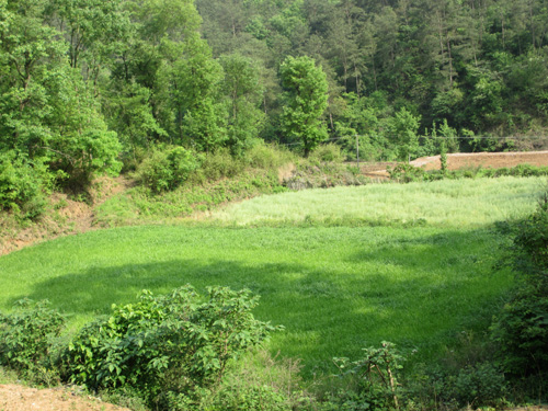 美狮贵宾会·(中国)官方网站