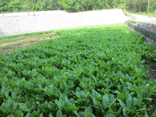 美狮贵宾会·(中国)官方网站