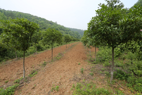 美狮贵宾会·(中国)官方网站