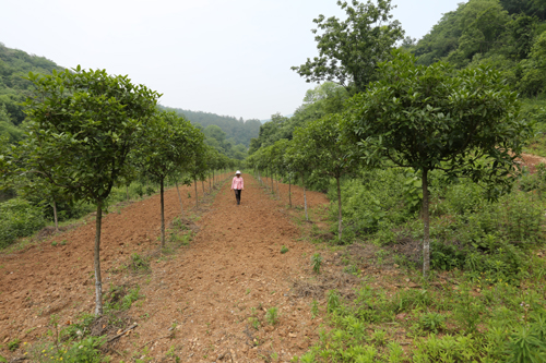美狮贵宾会·(中国)官方网站