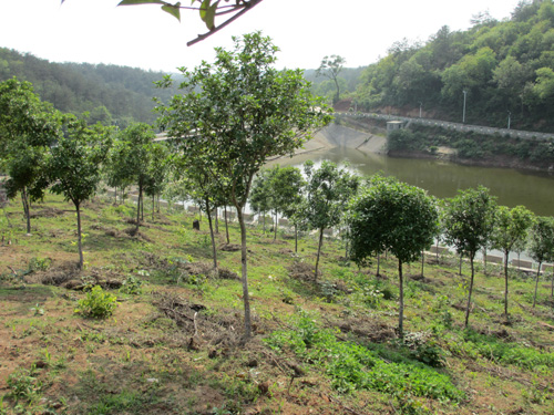 美狮贵宾会·(中国)官方网站