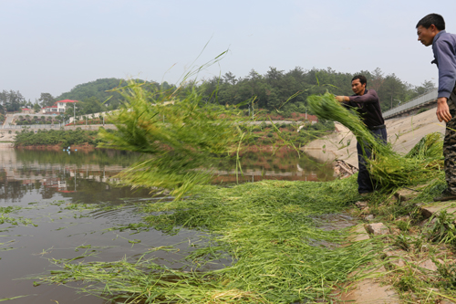美狮贵宾会·(中国)官方网站