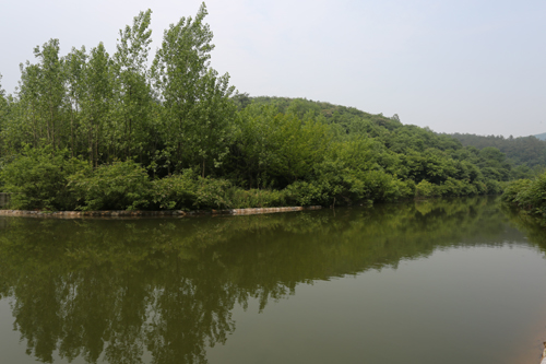 美狮贵宾会·(中国)官方网站