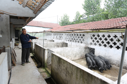 美狮贵宾会·(中国)官方网站
