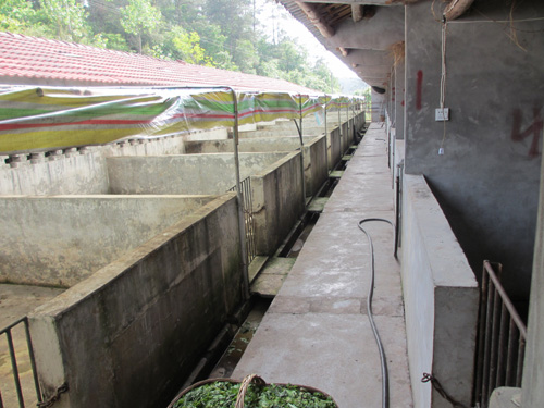 美狮贵宾会·(中国)官方网站