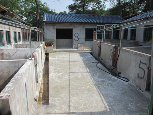 美狮贵宾会·(中国)官方网站